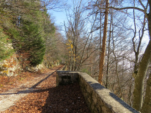 Картинка природа дороги осень лес