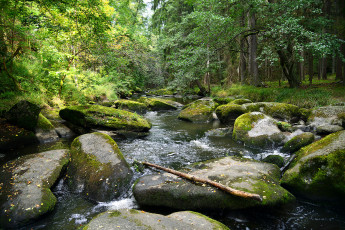 Картинка природа реки озера река лес