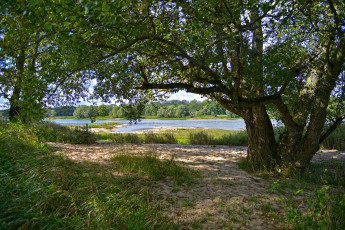 Картинка природа реки озера река лес