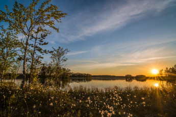 Картинка природа восходы закаты закат пейзаж деревья озеро