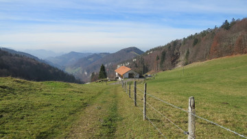 Картинка города -+пейзажи горы лес дом