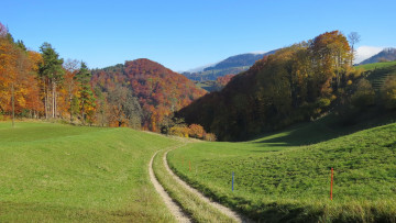 Картинка природа дороги лес холмы дорога