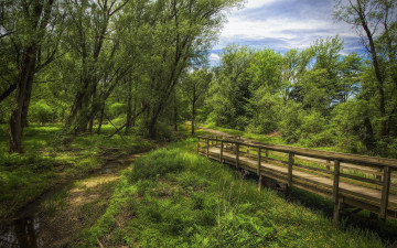 Картинка природа дороги тракт