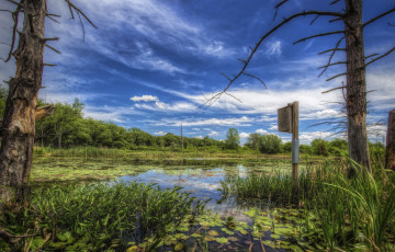 Картинка природа реки озера река лес