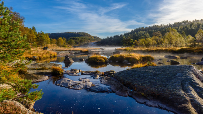 Обои картинки фото природа, реки, озера, река, лес