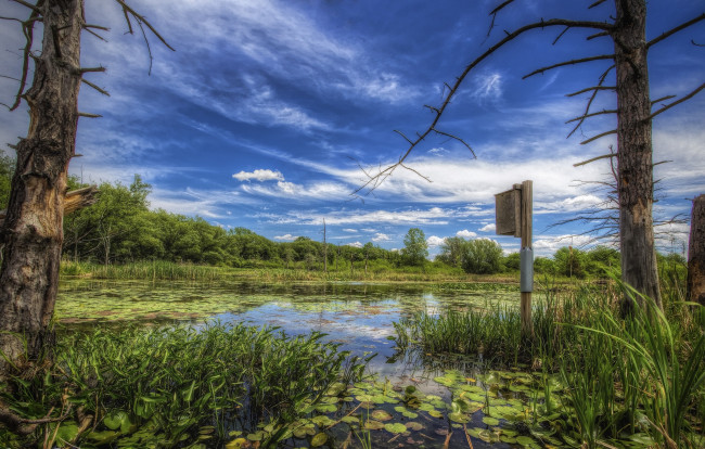 Обои картинки фото природа, реки, озера, река, лес