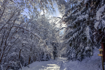 Картинка природа зима снег сугробы