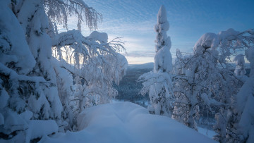 Картинка природа зима снег сугробы