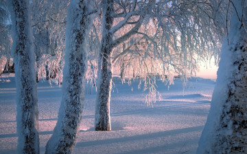 Картинка природа зима снег сугробы