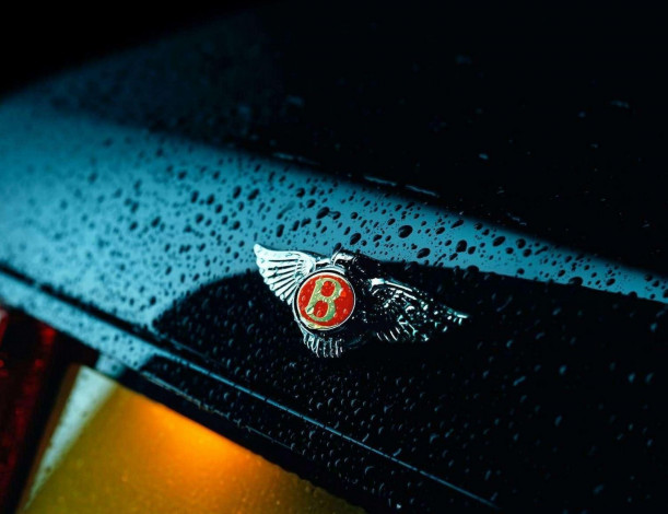 Обои картинки фото автомобили, фрагменты автомобиля, бентли, тёмный, капли