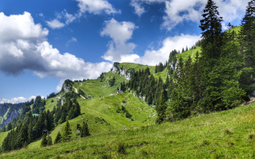 Картинка природа горы облака трава поляны деревья