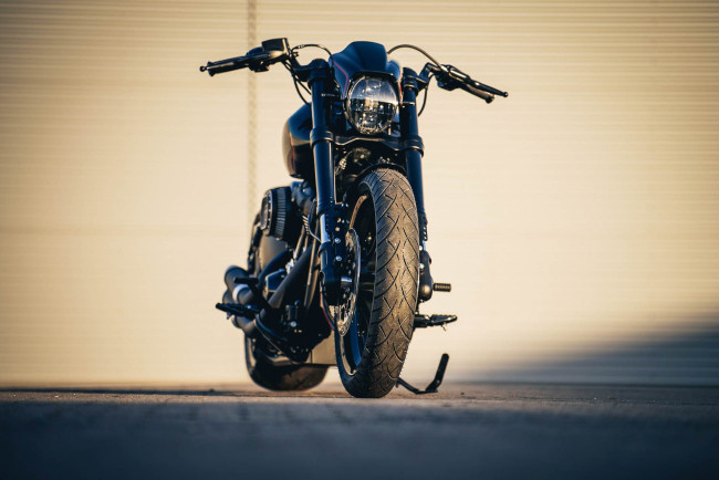 Обои картинки фото харлей, мотоциклы, harley-davidson, мотоцикл, байк