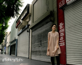 обоя anan, бренды