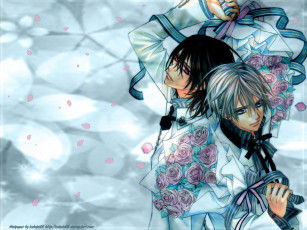 Картинка аниме vampire knight
