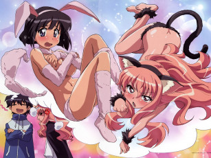 Картинка аниме zero no tsukaima