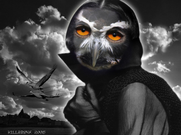 Обои картинки фото фэнтези, существа