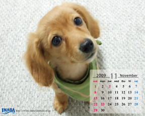 Картинка бренды inaba