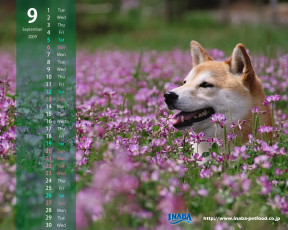 Картинка бренды inaba