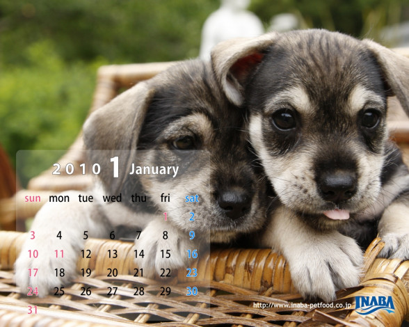 Обои картинки фото бренды, inaba