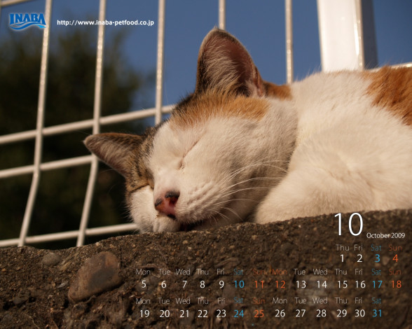 Обои картинки фото бренды, inaba