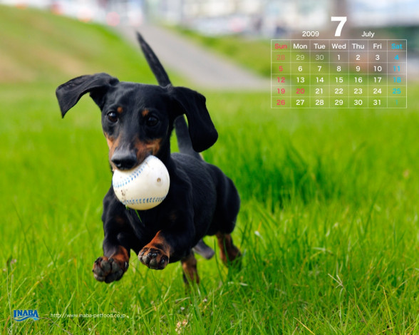 Обои картинки фото бренды, inaba