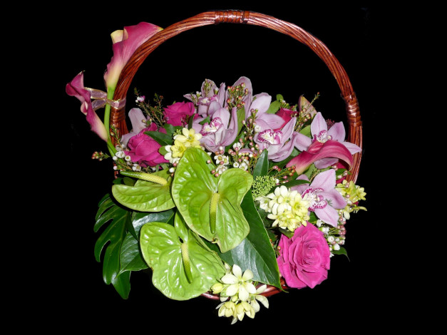 Обои картинки фото цветы, букеты, композиции