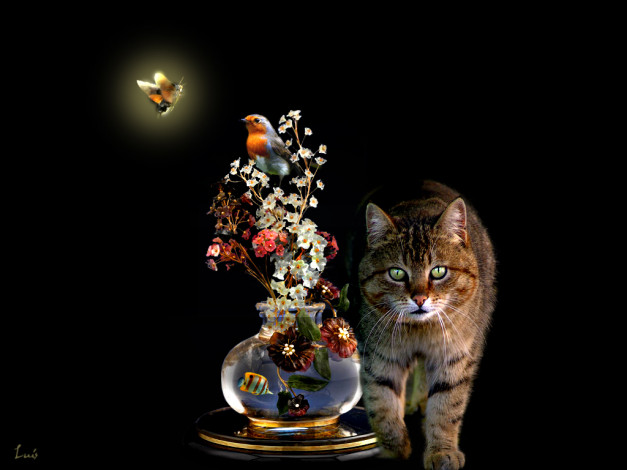 Обои картинки фото животные, разные, вместе