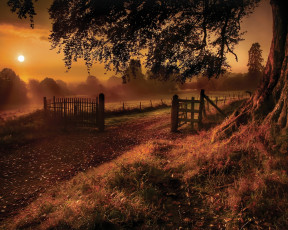 Картинка природа пейзажи земля туман небо