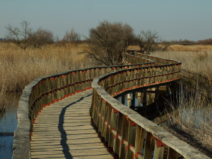 Картинка города мосты мостки
