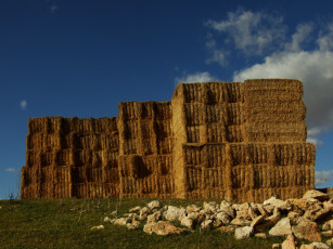 Картинка природа другое сено