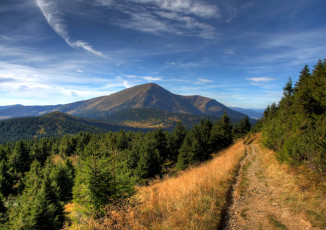 Картинка природа горы лес