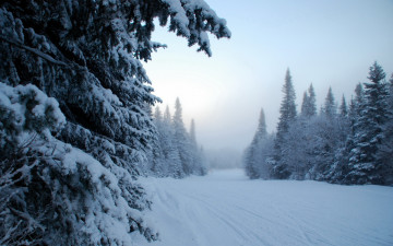 Картинка природа зима снег