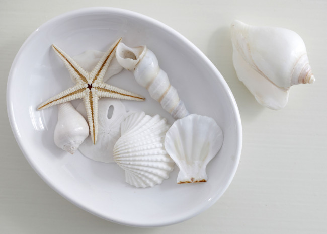 Обои картинки фото разное, ракушки, кораллы, декоративные, spa, камни, миска, морская, звезда