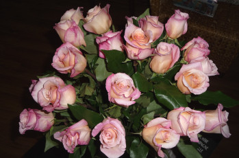 Картинка цветы розы букет