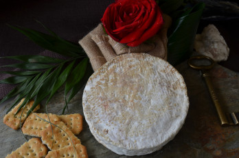 обоя pla peque&, 241, еда, сырные изделия, сыр