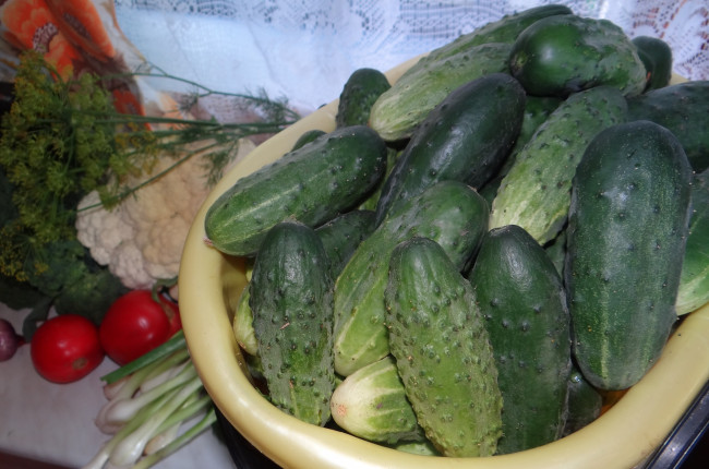 Обои картинки фото еда, овощи, огурцы, помидоры, лук, капуста