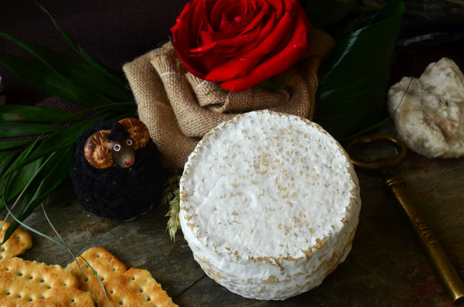 Обои картинки фото les agudes, еда, сырные изделия, сыр