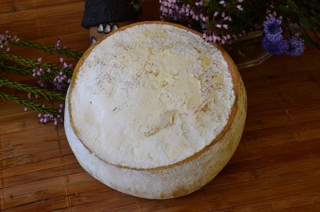 Обои картинки фото novell,  gran formato, еда, сырные изделия, сыр