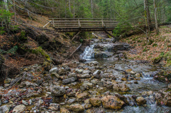 Картинка природа реки озера река лес