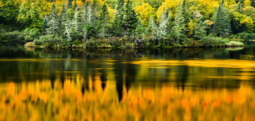 Картинка природа реки озера река лес