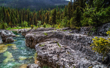 Картинка природа реки озера река лес