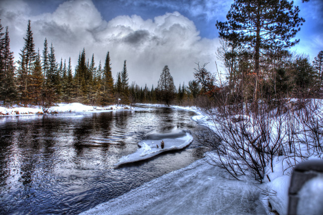 Обои картинки фото природа, реки, озера, река, лес