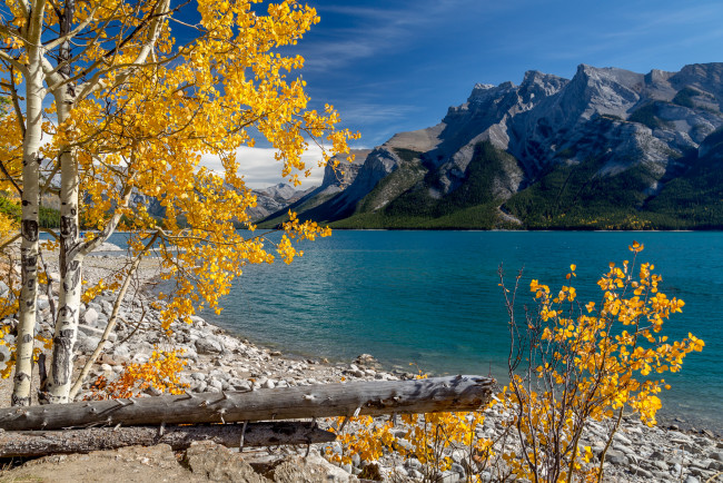 Обои картинки фото природа, реки, озера, река, лес