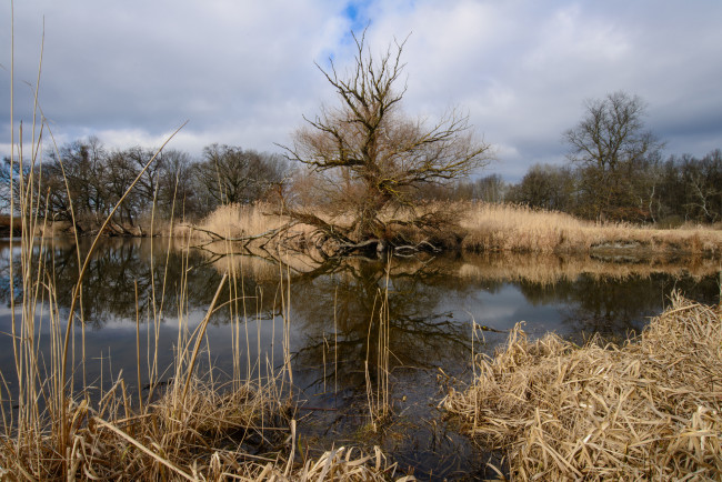 Обои картинки фото природа, реки, озера, река, лес