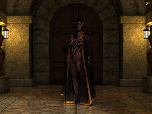 Картинка 3д+графика эльфы+ elves взгляд фон эльфийка