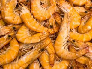 Картинка еда рыба +морепродукты +суши +роллы креветки