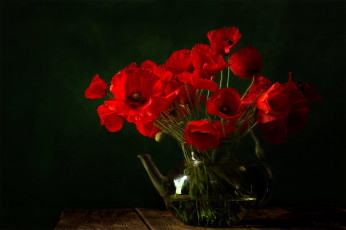 Картинка цветы маки