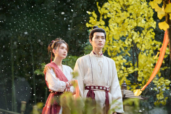 Картинка кино+фильмы love+of+petals love of petals