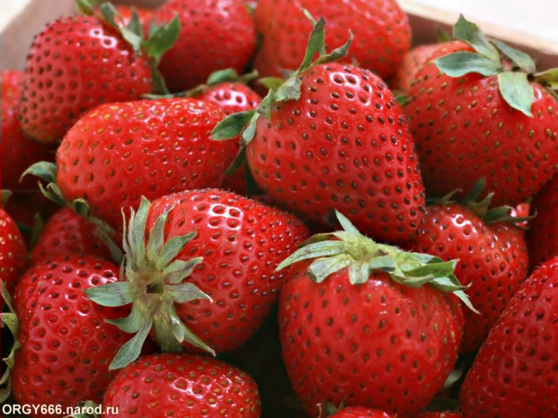 Обои картинки фото еда, клубника, земляника