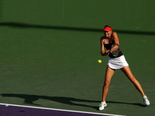 Картинка мария шарапова спорт теннис